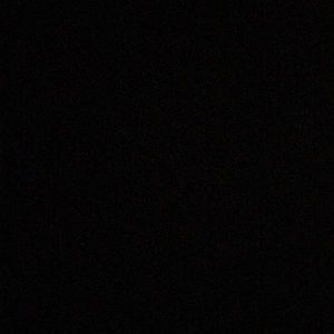 Meet your Posher, Alisha